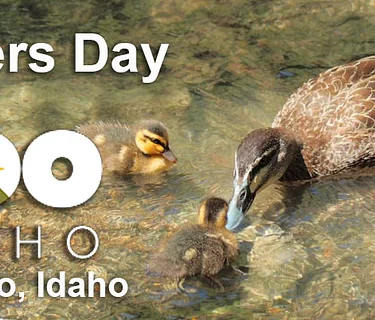 Mother’s Day at the Zoo