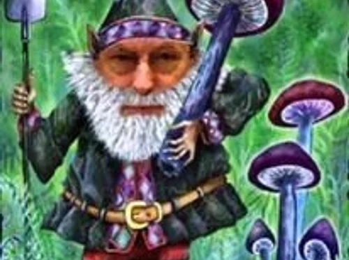 ABCs of Summer Mushrooms