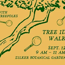 Tree ID Walk with TreeFolks