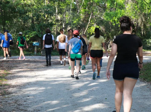 Guided Exploration Hike