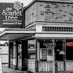5th Annual Scarlet Tree Revival & Seattle Music Bash