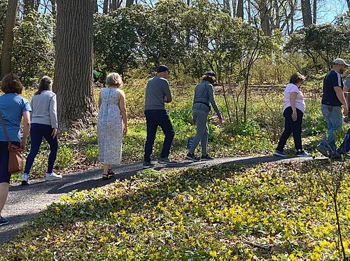 Wednesday Walkabouts