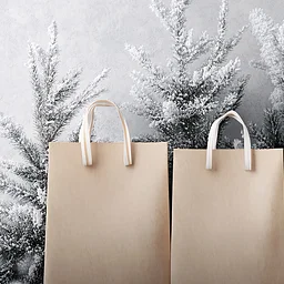 Christmas Shopping Bus Tour