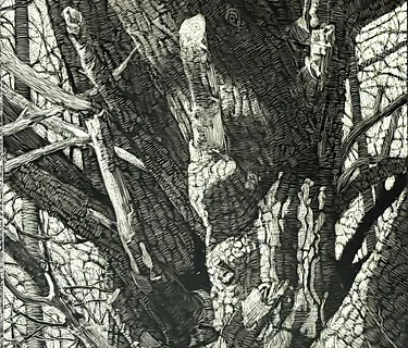 Out of the Woods: From Sketchbook to Scratchboard with Joe Smith