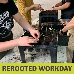 FULL: ReRooted Workday
