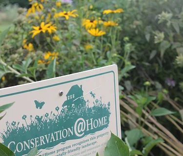 Small-Scale Native Landscapes with Conservation@Home