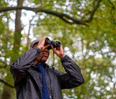 Tuesday Mornings are for the Birds!