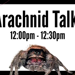 Arachnid Talk!