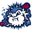 Lexington County Blowfish Home Game