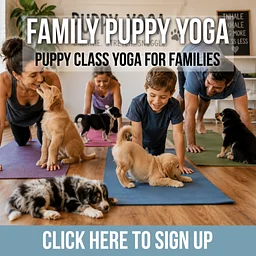 Family Puppy Yoga