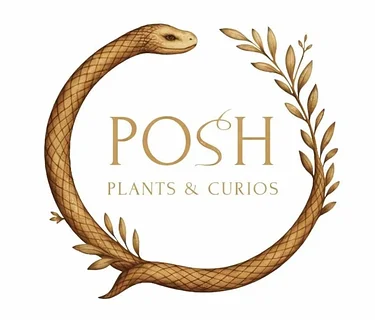 Pop-Up: Posh Plants & Curios