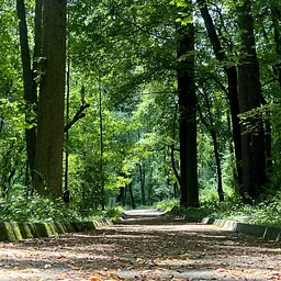 UltraTrax Endurance Walk