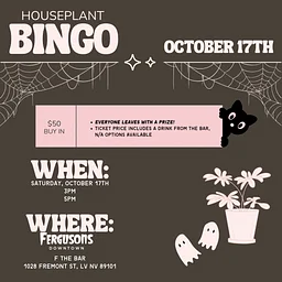 LV Plant Collective: Houseplant Bingo