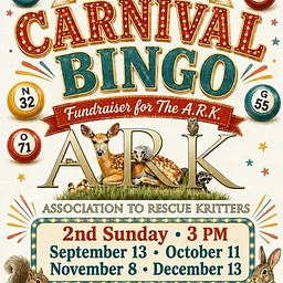 Jared's Carnival Bingo