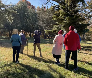 Strolling Through Nature