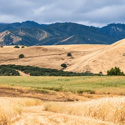 SAVE THE DATE | NEW YEAR’S EVE AT THE RANCH