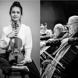 PSO Chamber Players: An Evening of Timeless Strings