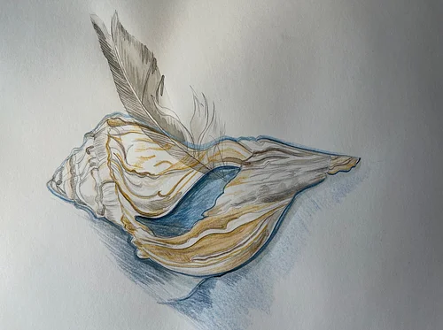 ART SOCIAL: WATERCOLOR—SEASHELL, FEATHER, & MORE