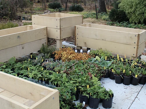 Wednesday Walk: City Demonstration Gardens