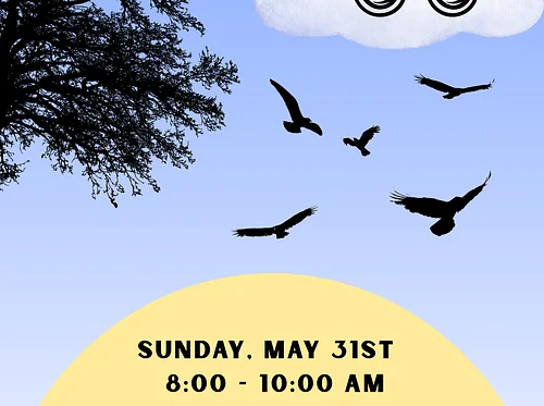 Bird Walk in Franklin Park