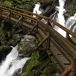 Explore, Discover, and Wander: Rodney Falls and Little Beacon Rock