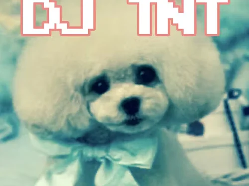 DJ TNT! (Tarra Thiessen of Tea Eater, Gustaf and MamajoeVramajoe)