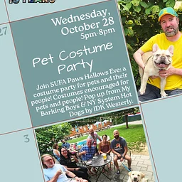 Pet Costume Party