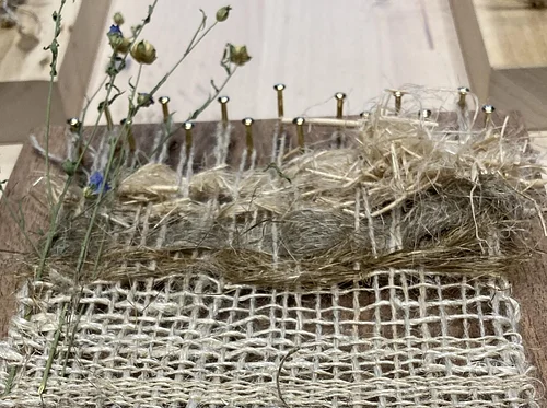 Weaving on a Frame Loom—Fiber Focus: Flax—with Erin Carlson