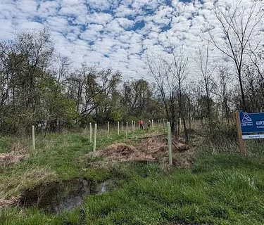 ALT x Pittsburgh Zoo: Girty’s Woods Restoration Workday Series 5