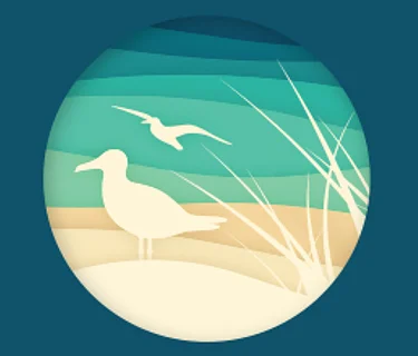 Friends of Elmwood Dunes Workday 6/25