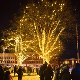 Lighting of the Merry Maple