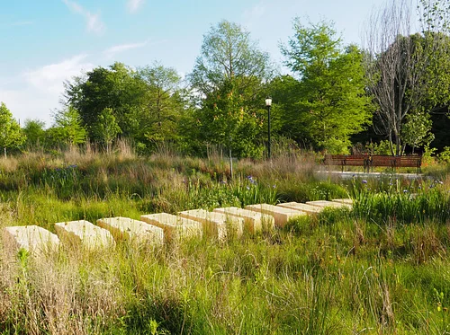 Garden & Nature Series: Walk on the Wild Side – Wetlands Adventure