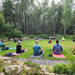 Vinyasa Flow Yoga
