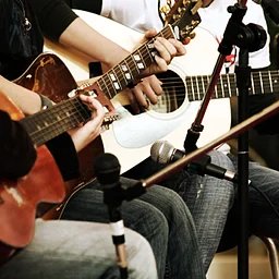 The Strummingbirds