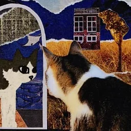 Cat Video Fest 2026