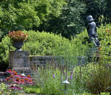 Hybrid Native Plants of Summer