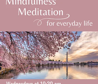 Mindfulness Meditation for Everyday Life
