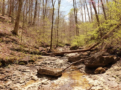 Midweek Nature Stroll