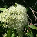 Guided Garden Tour – August 15, 2026