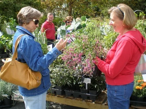 Lewis Ginter Fall Plant Sale