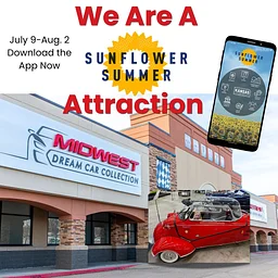 Sunflower Summer