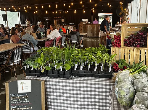 Thursday Farmer’s Market