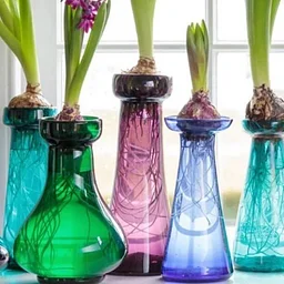Art of Forcing Bulbs