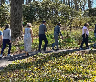 Wednesday Walkabouts