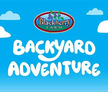Backyard Adventure