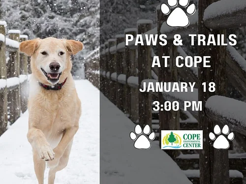 Paws & Trails