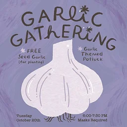 Garlic Gathering