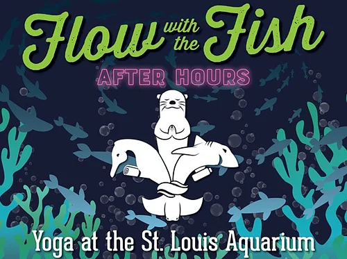 Flow with the Fish After Hours