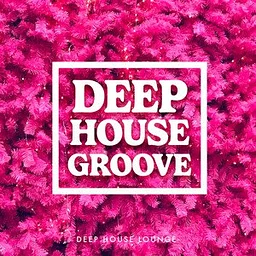 DEEP HOUSE GROOVE with RJ SAVIC