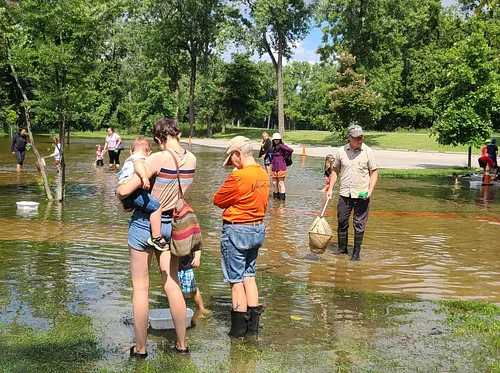 Thursdays in Nature: Pond Dip Discovery!